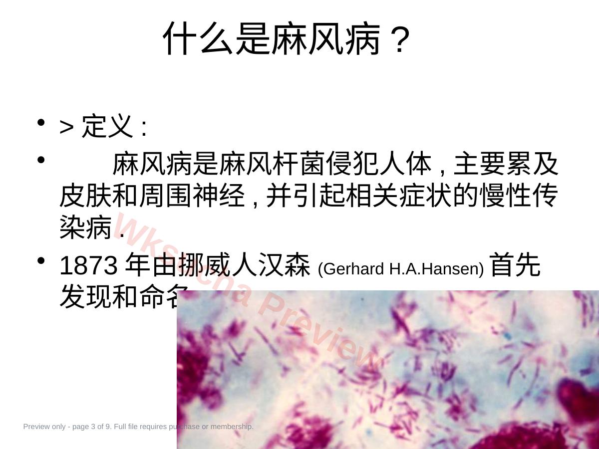 预览第 3 页