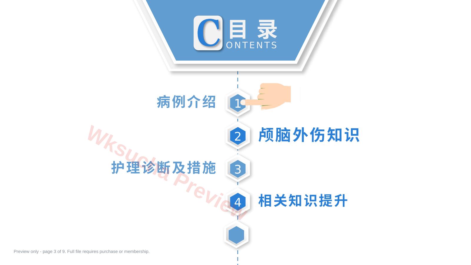 预览第 3 页