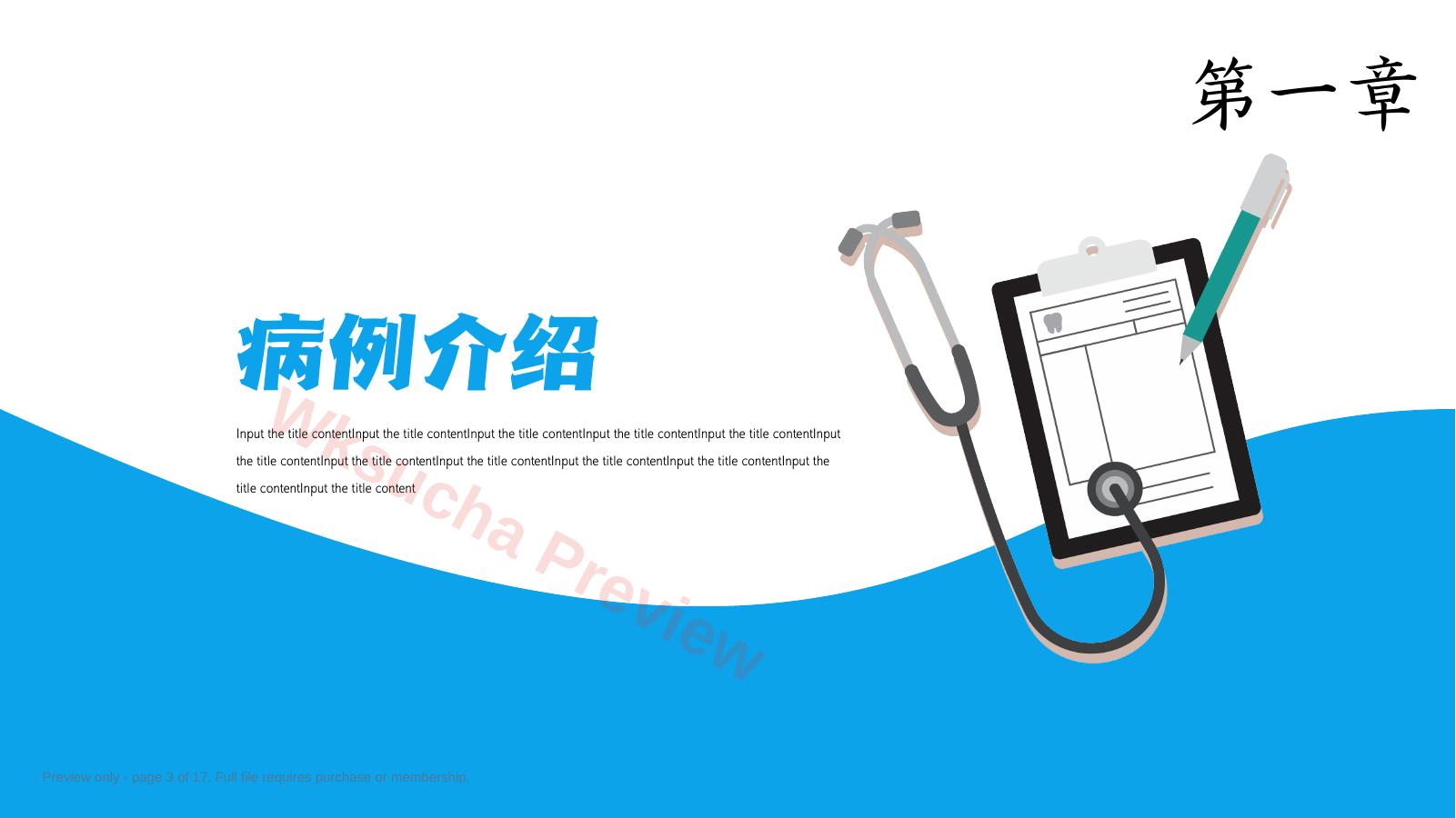 预览第 3 页