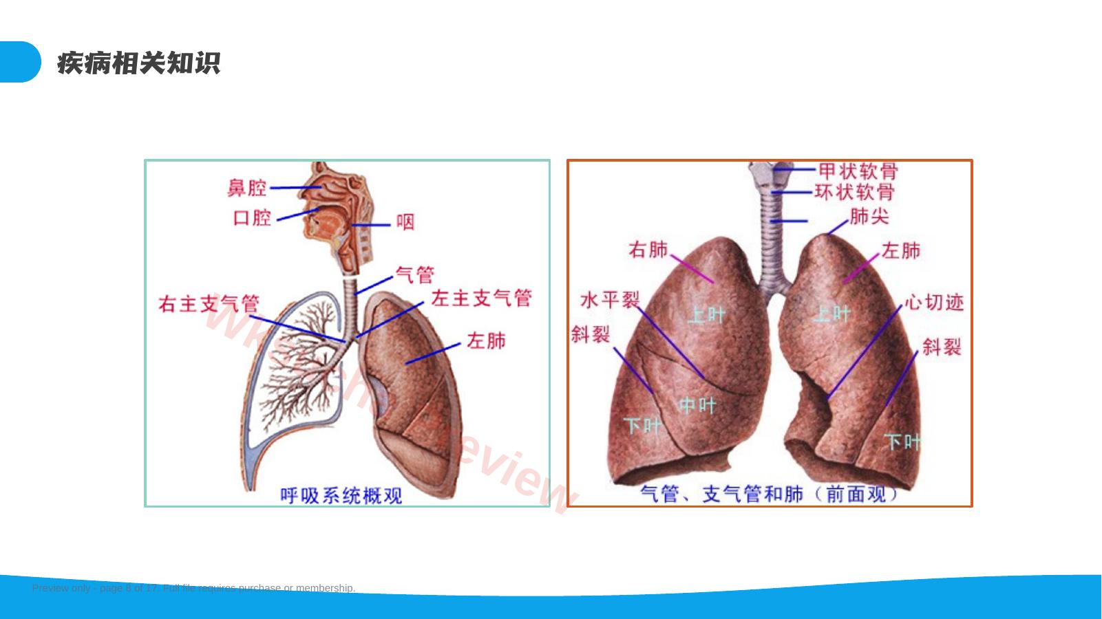 预览第 8 页