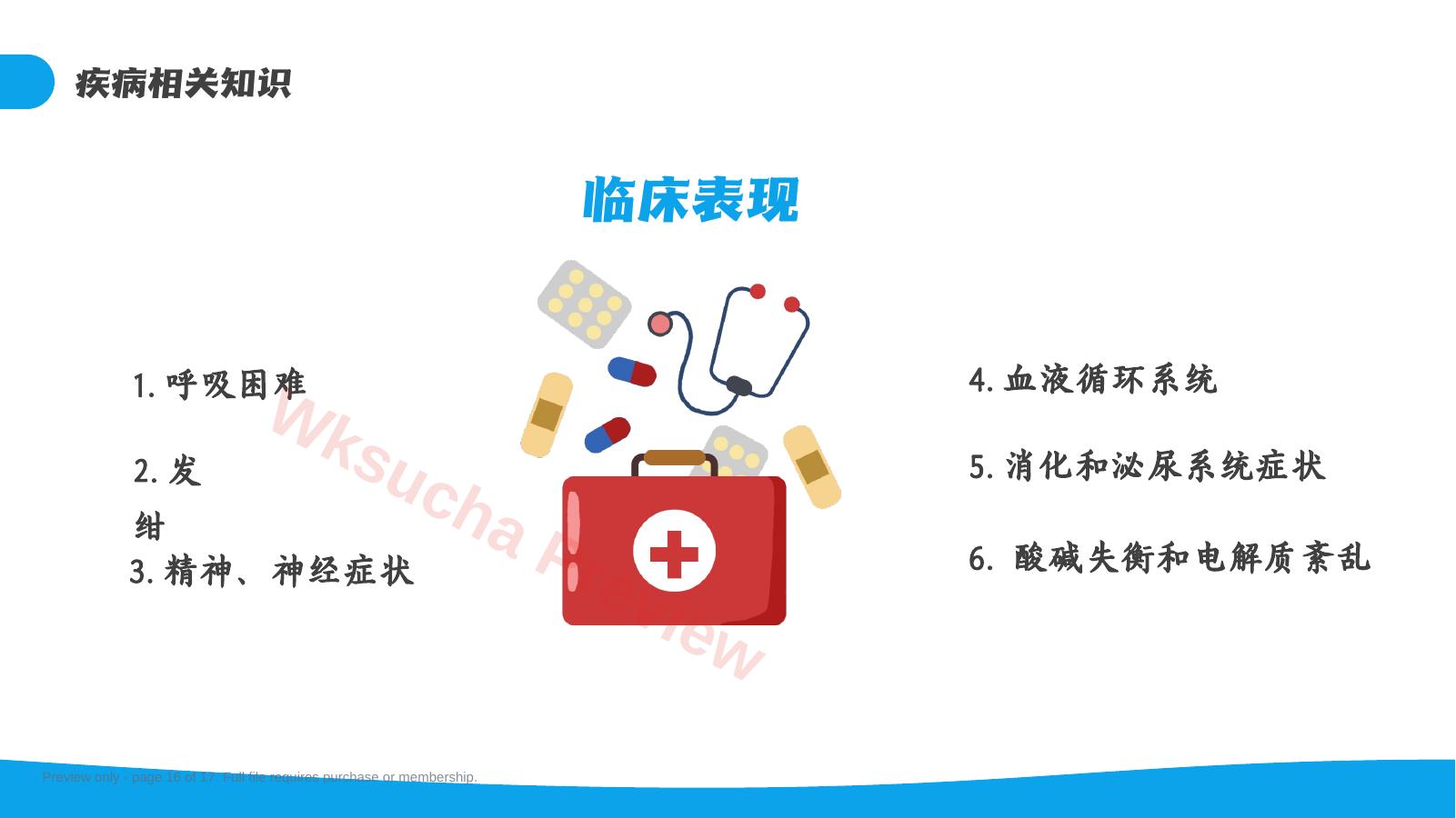 预览第 16 页