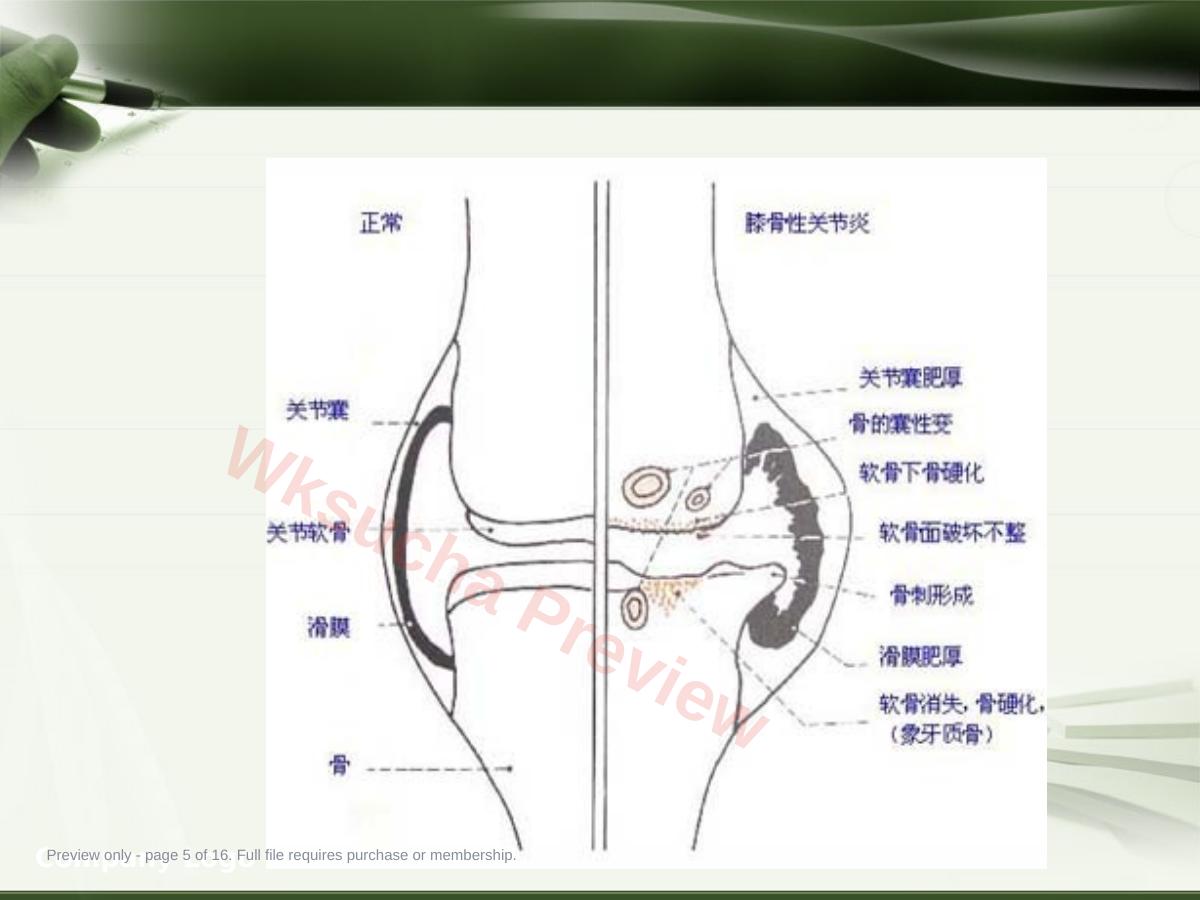 预览第 5 页