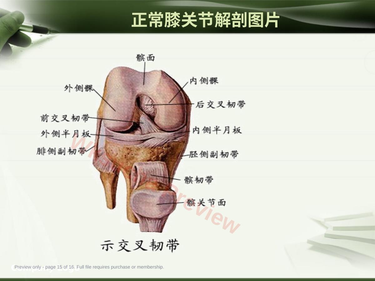 预览第 15 页