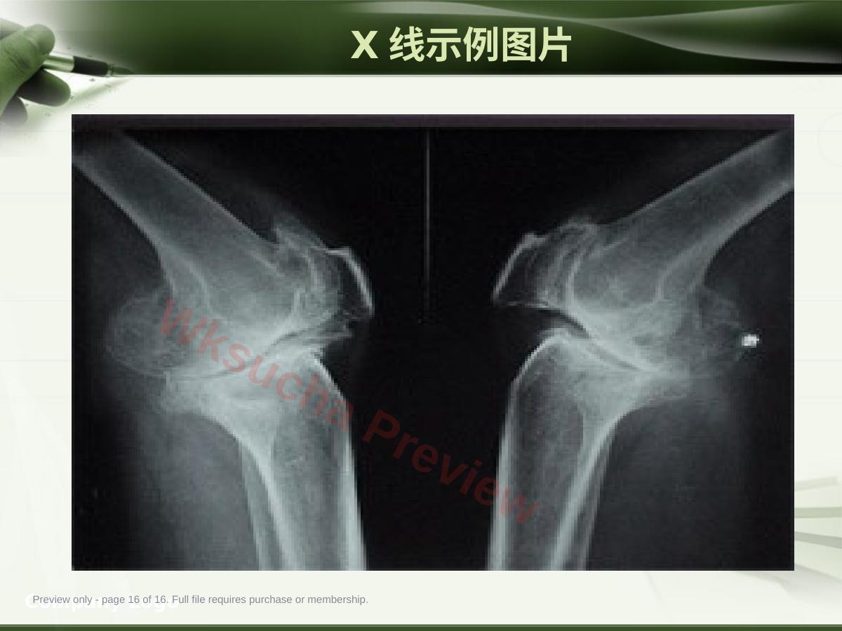 预览第 16 页
