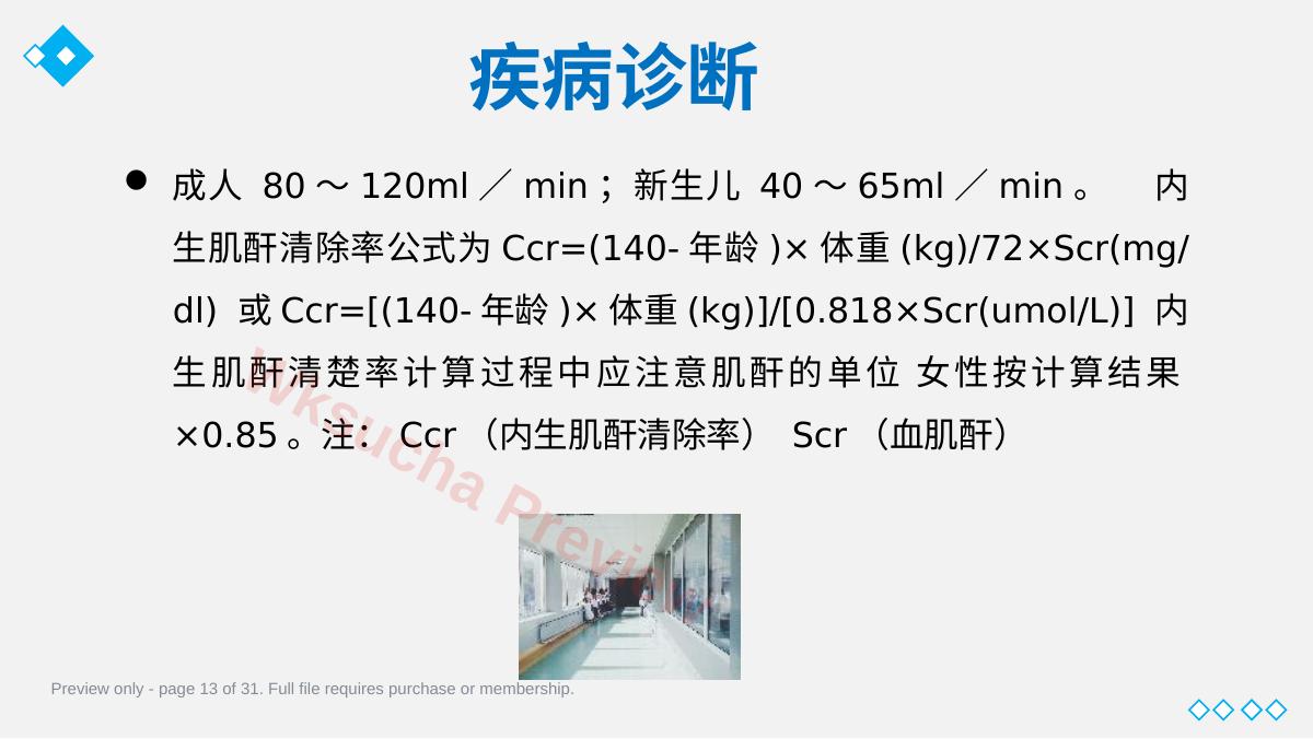 预览第 13 页