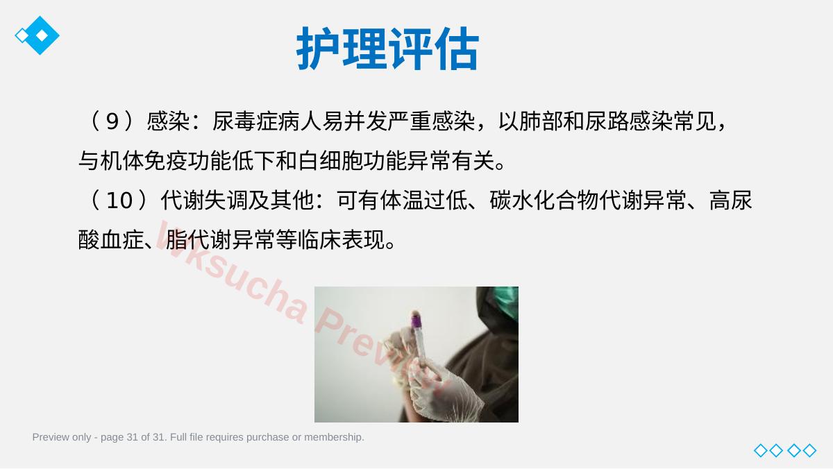 预览第 31 页