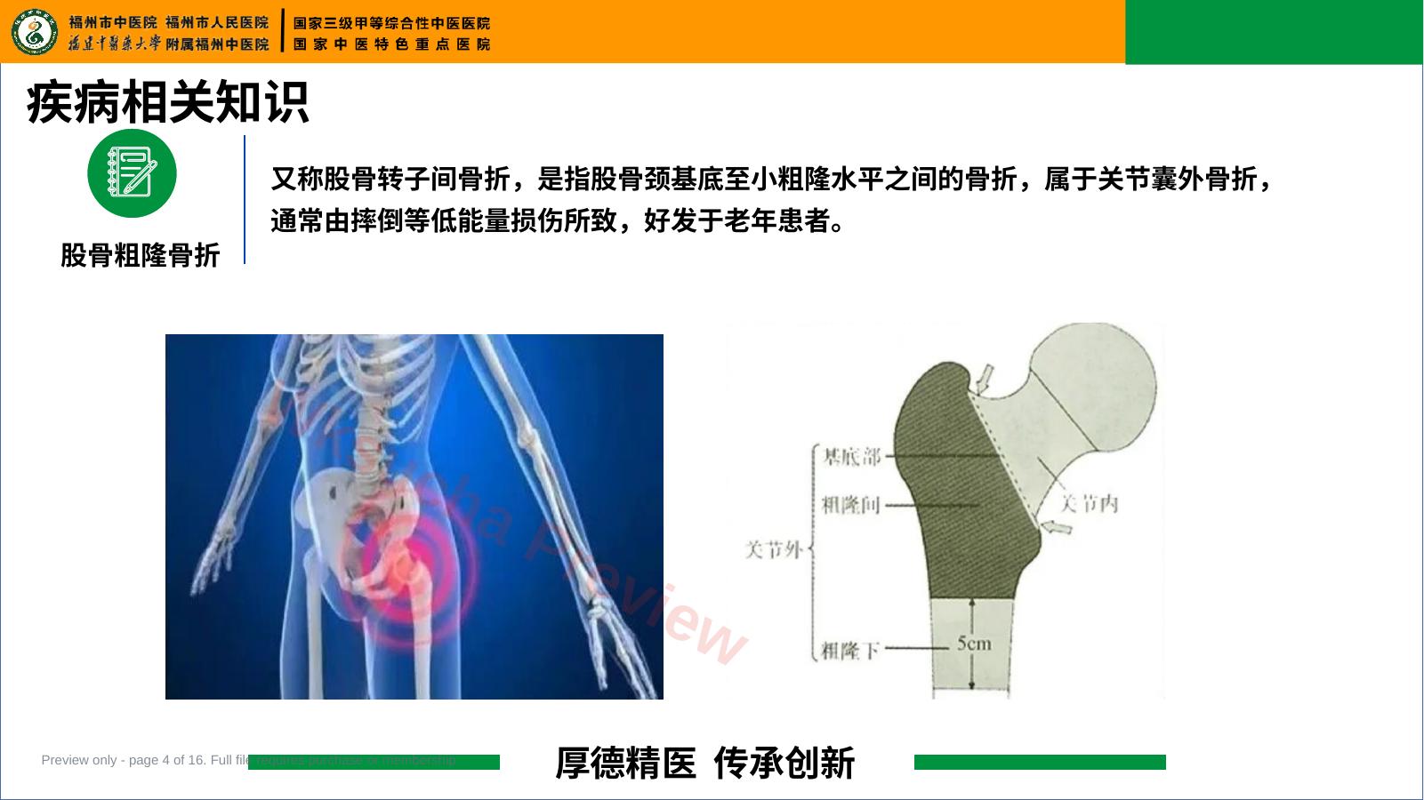 预览第 4 页