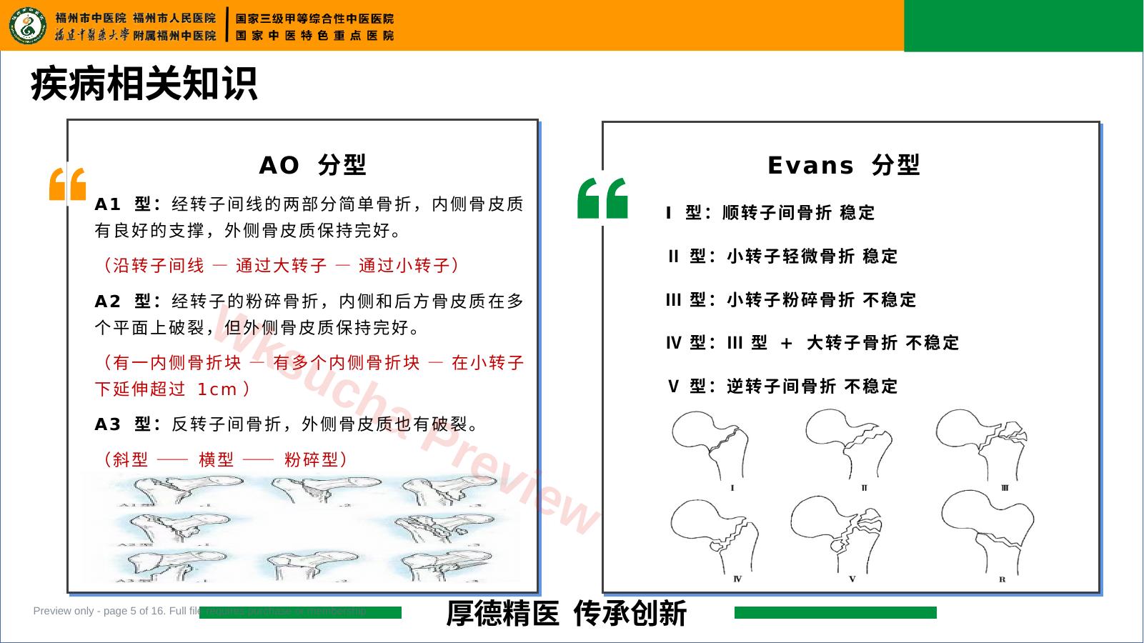 预览第 5 页