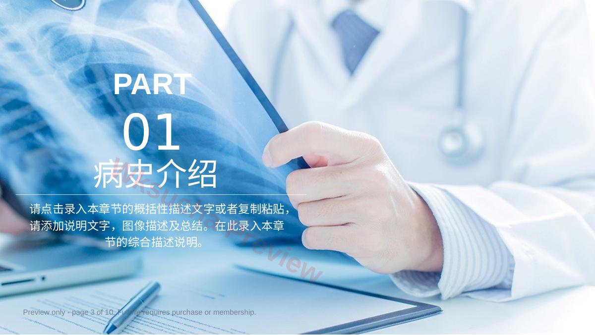 预览第 3 页