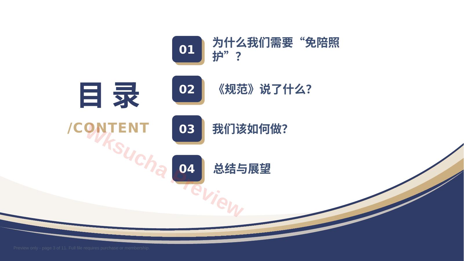 预览第 3 页