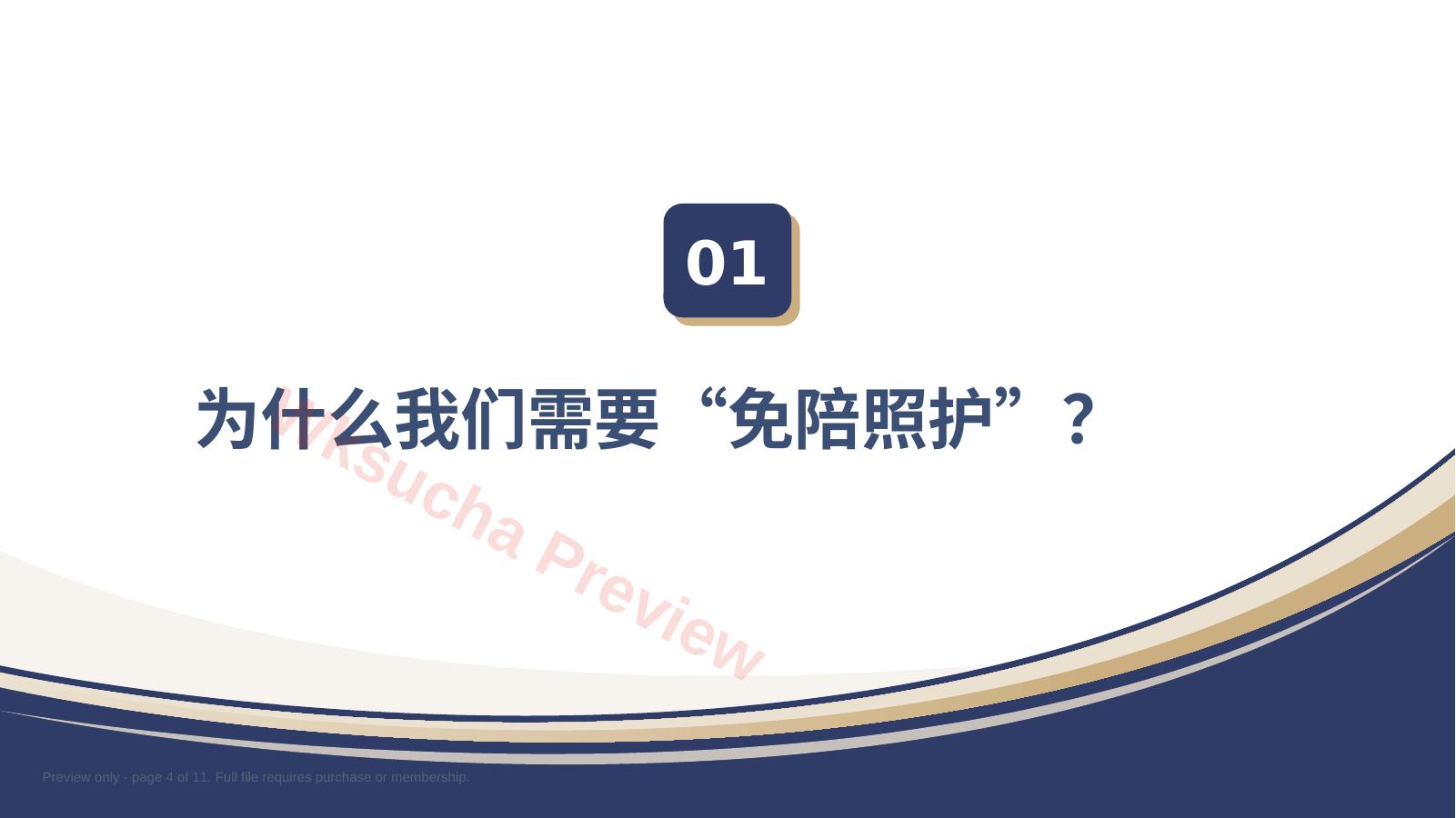 预览第 4 页