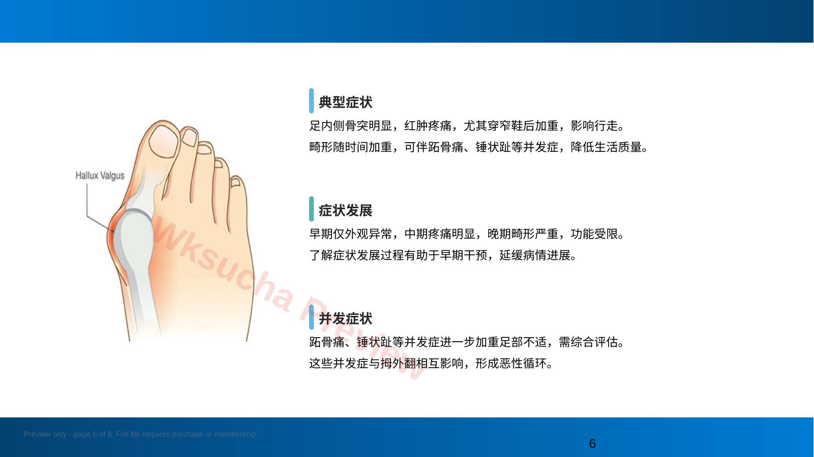 预览第 6 页