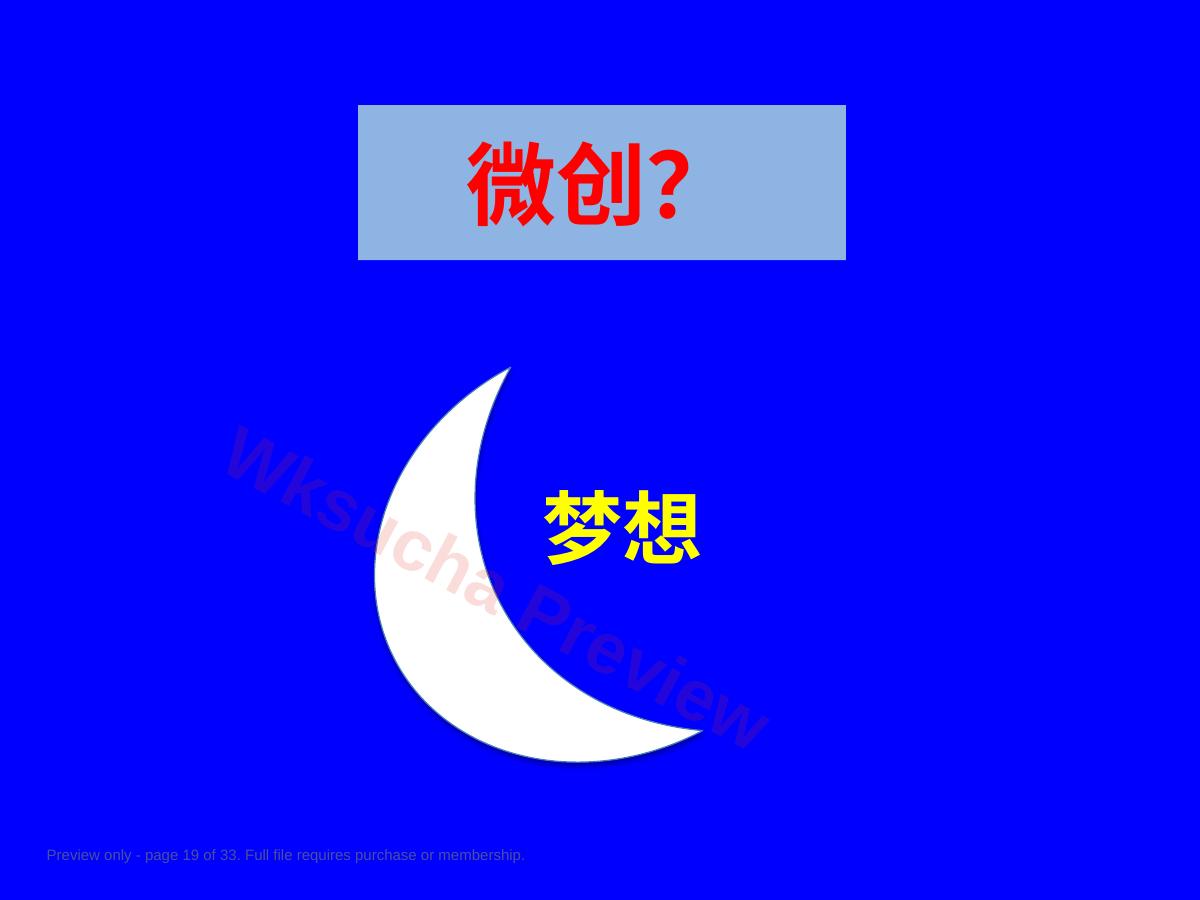 预览第 19 页