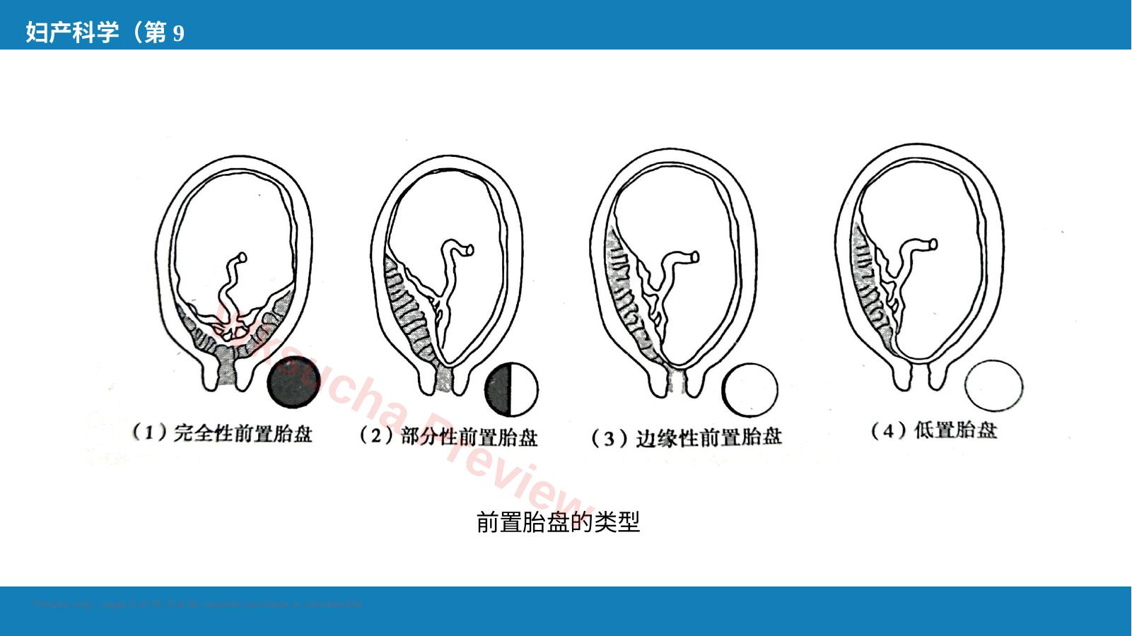 预览第 9 页