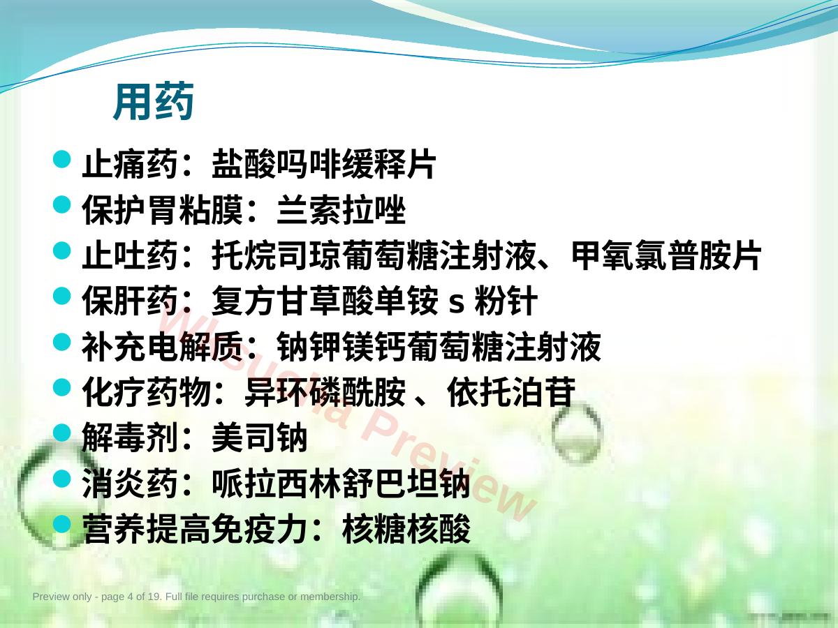 预览第 4 页