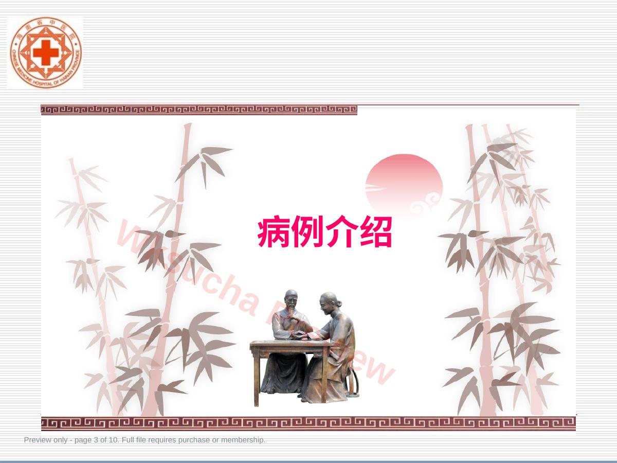预览第 3 页