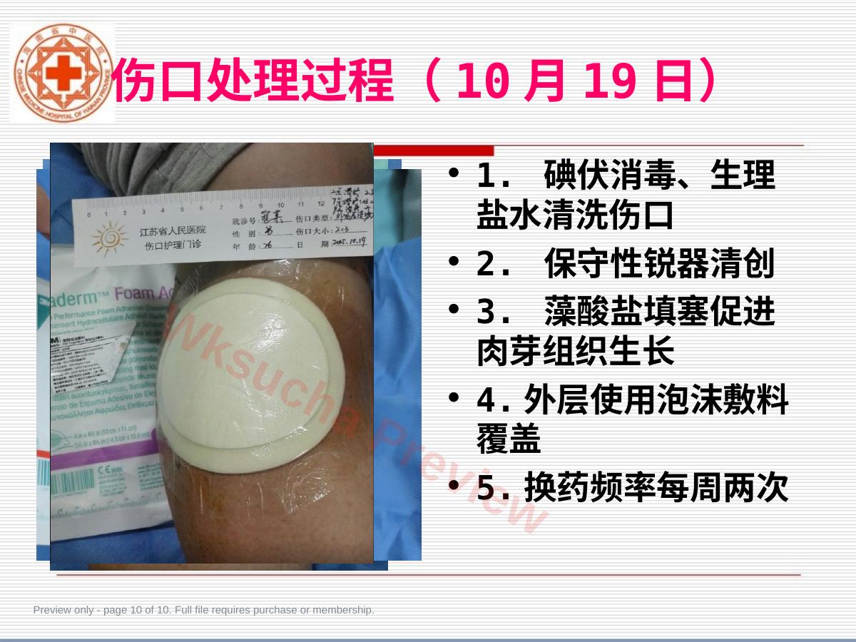 预览第 10 页