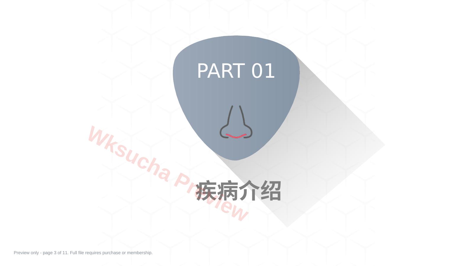 预览第 3 页