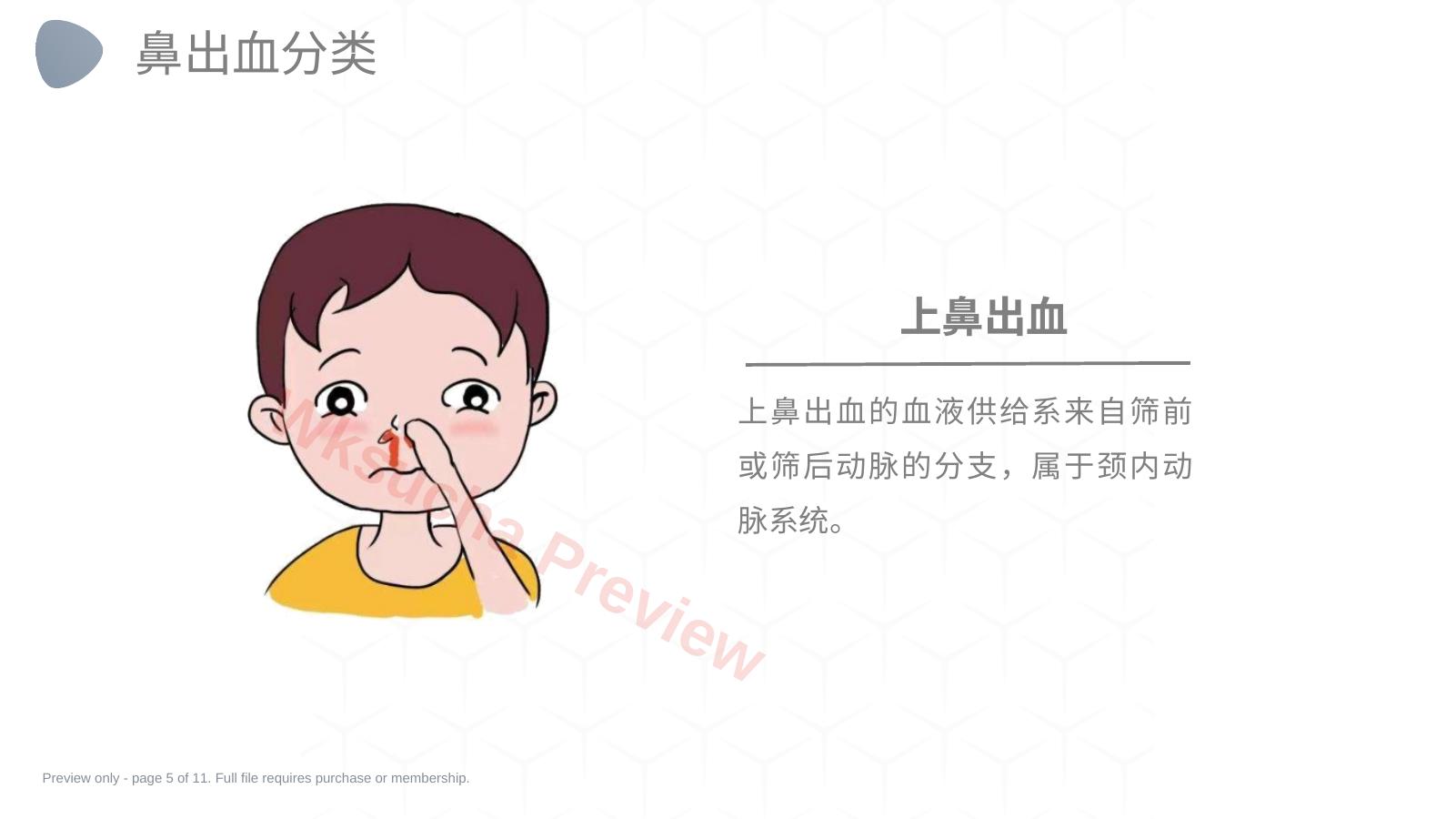 预览第 5 页