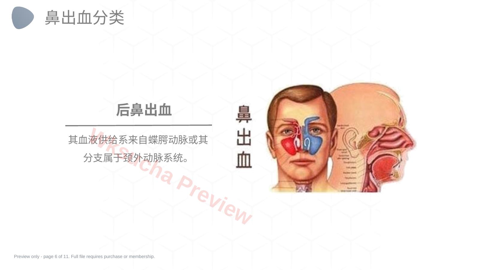 预览第 6 页