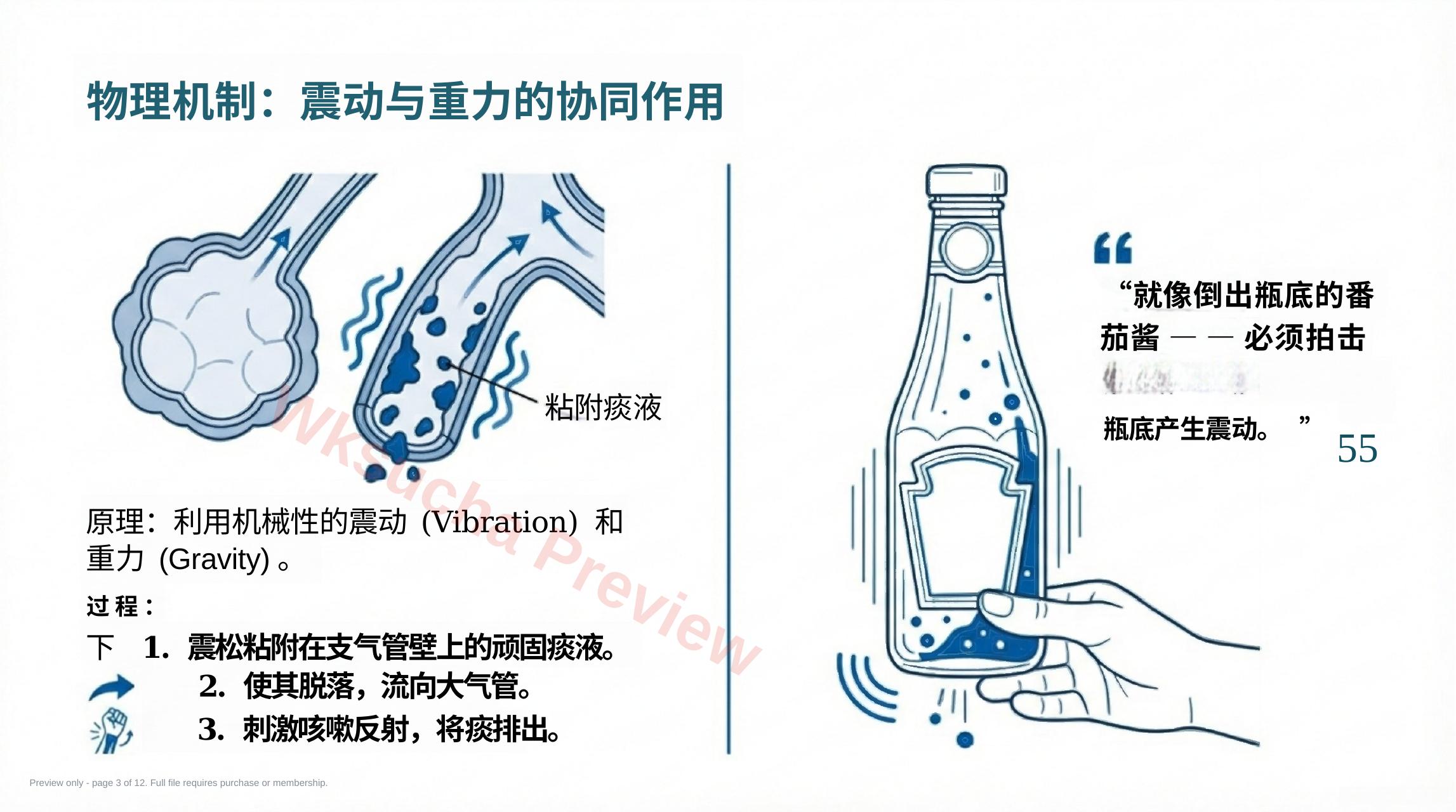 预览第 3 页