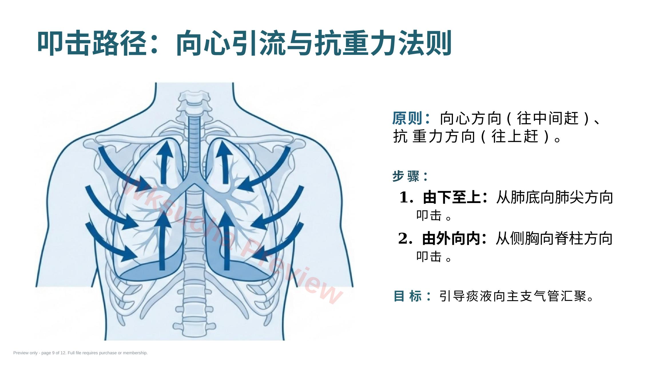 预览第 9 页