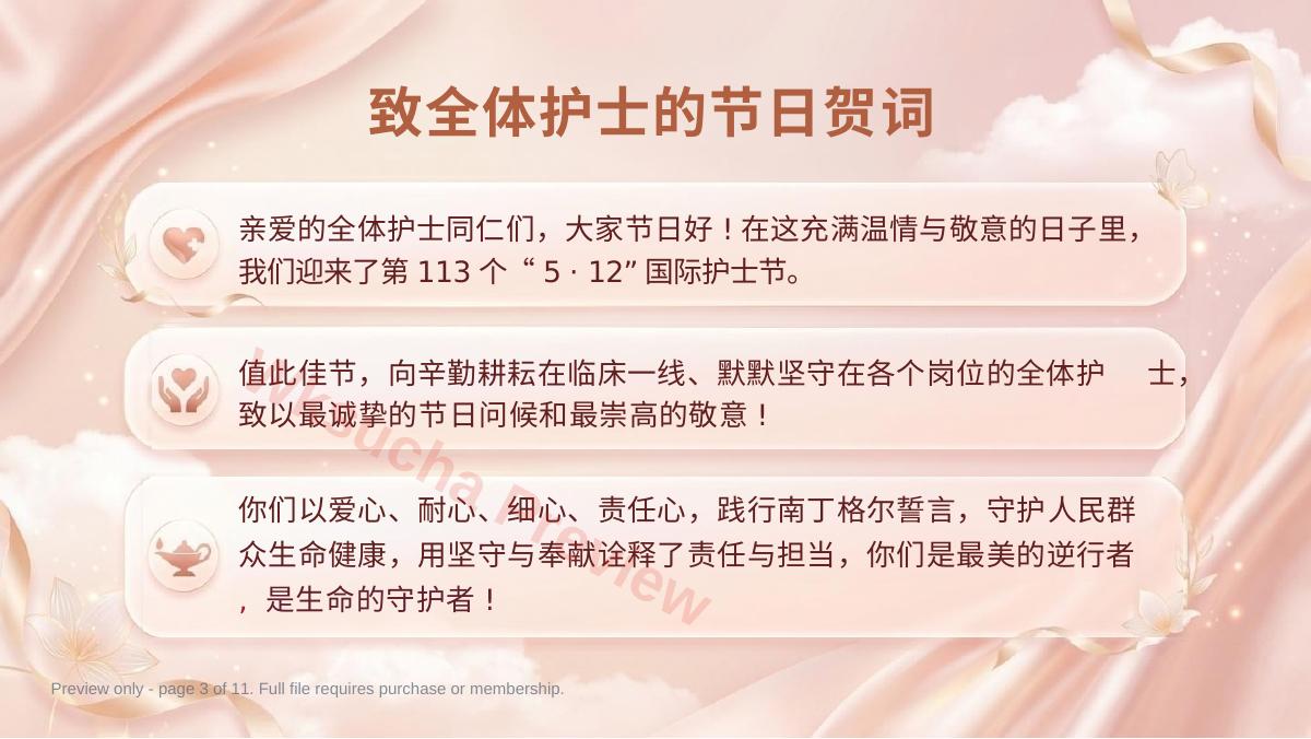 预览第 3 页