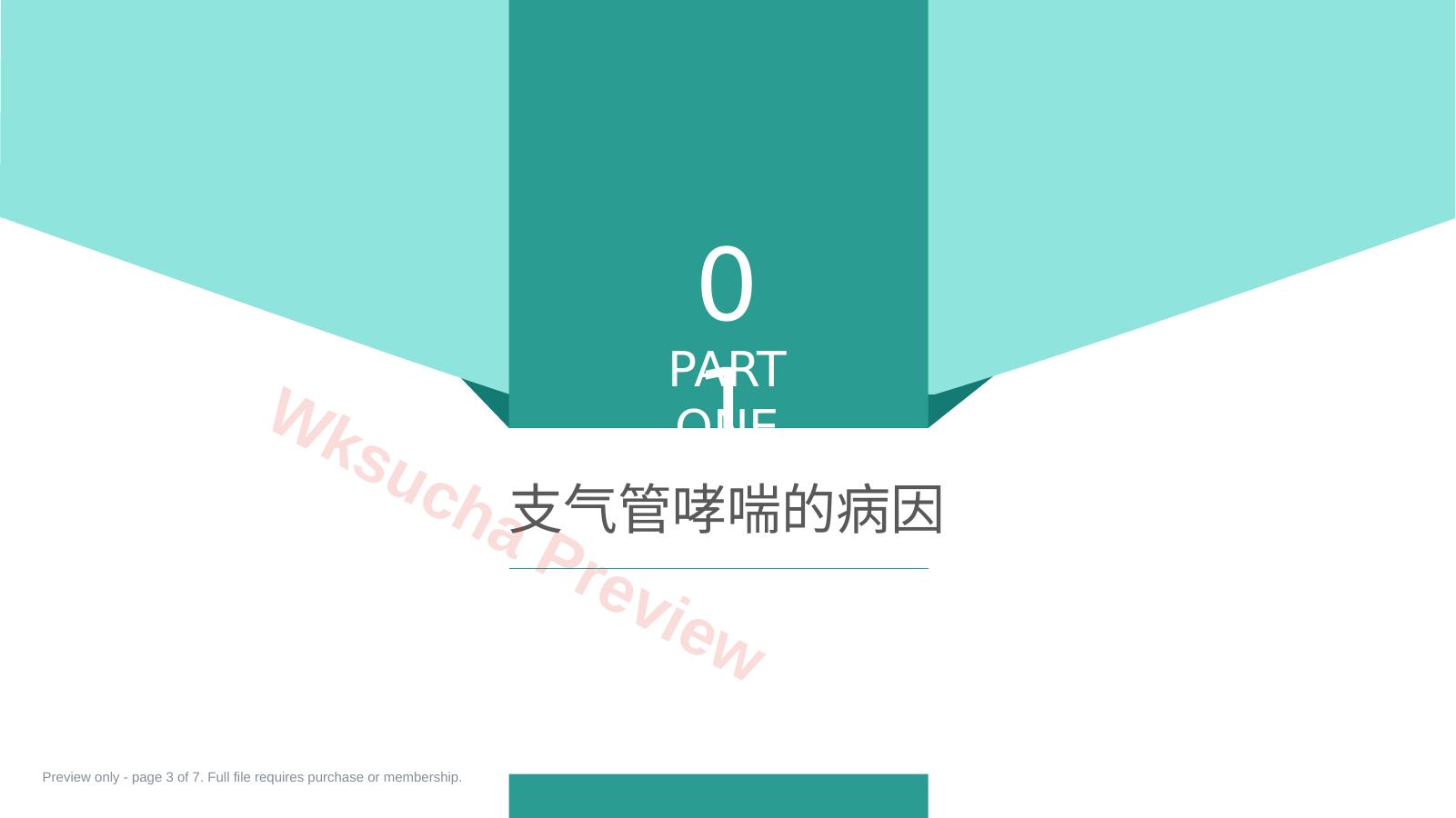 预览第 3 页