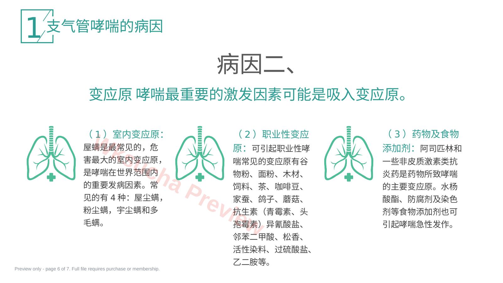 预览第 6 页