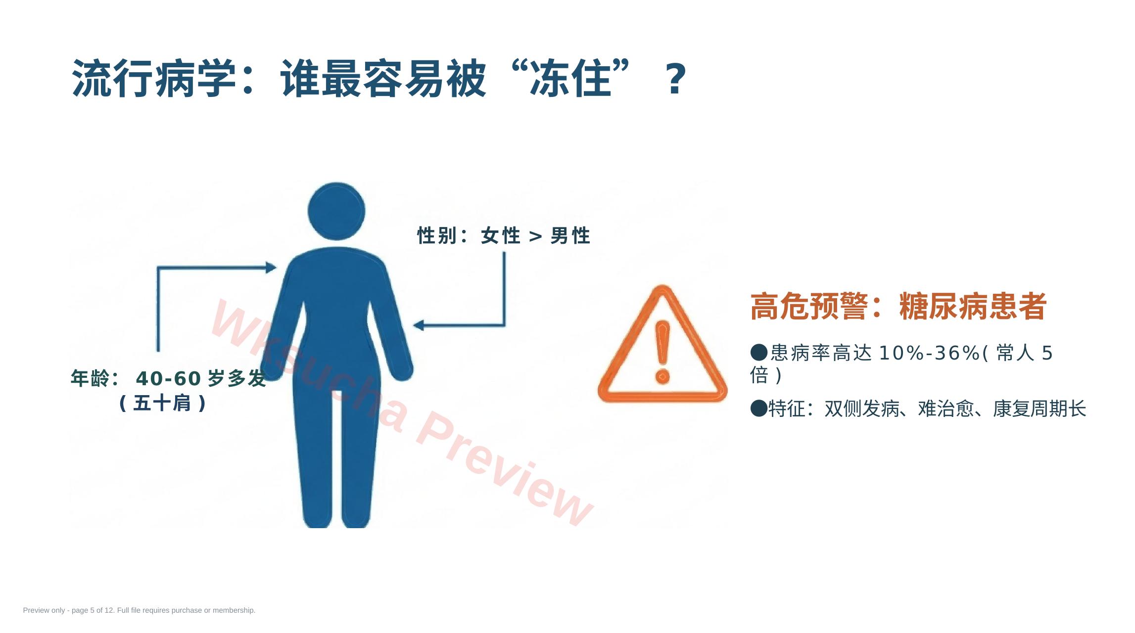 预览第 5 页