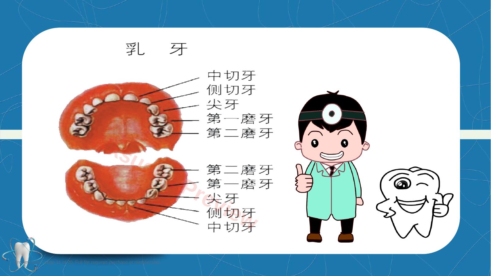 预览第 11 页