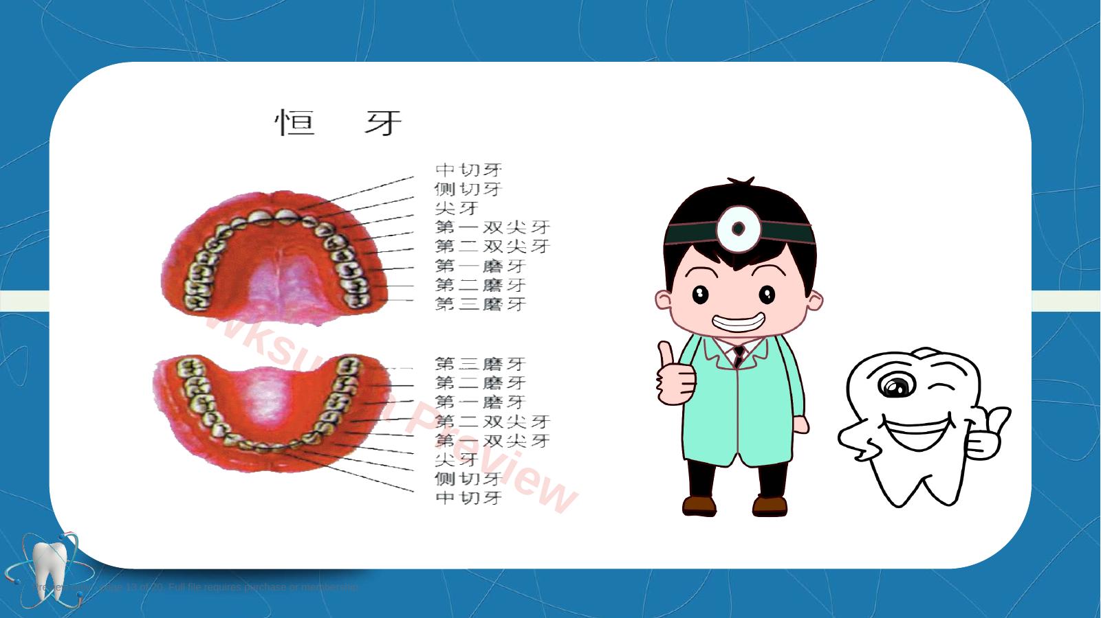 预览第 13 页