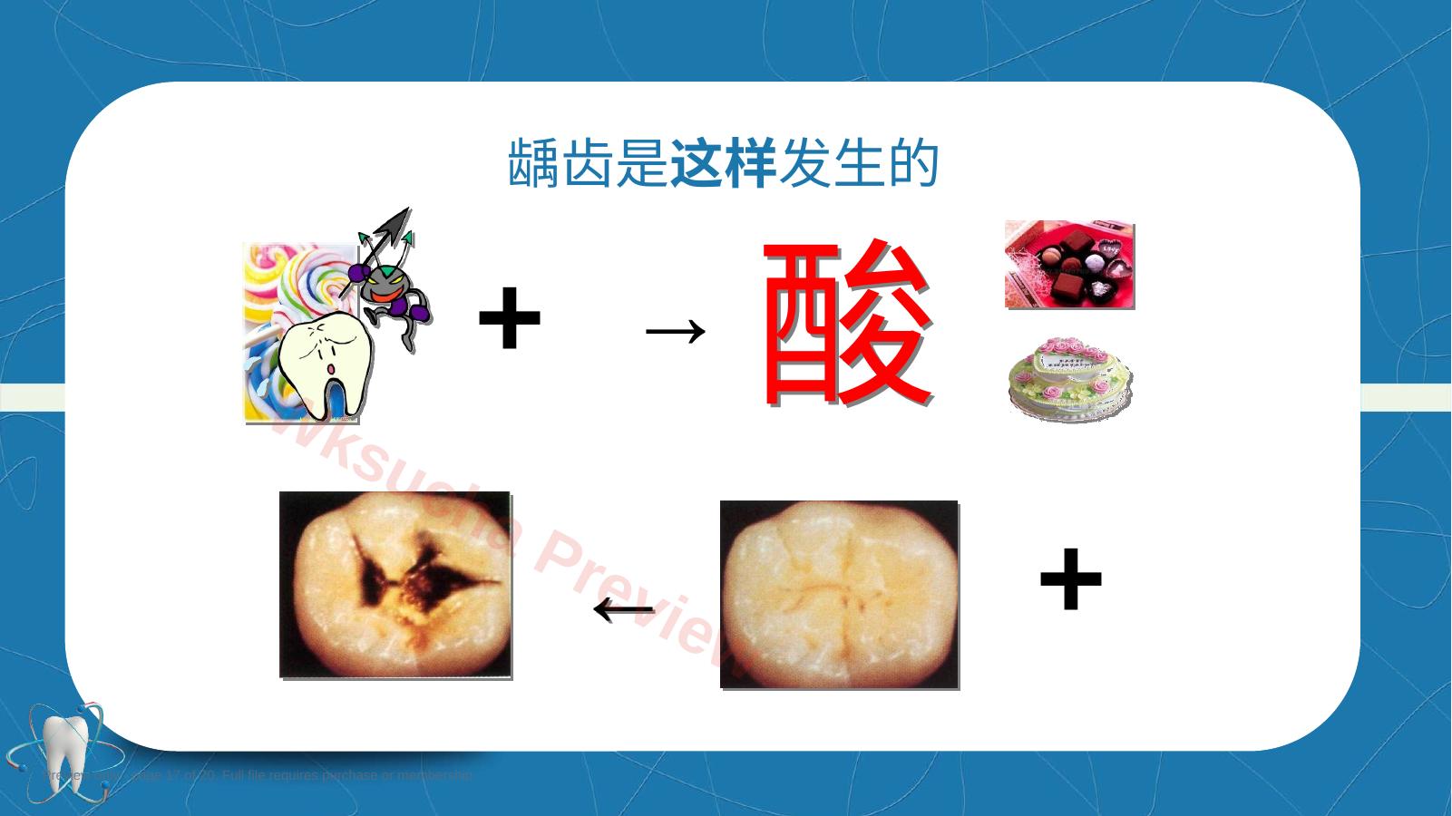 预览第 17 页