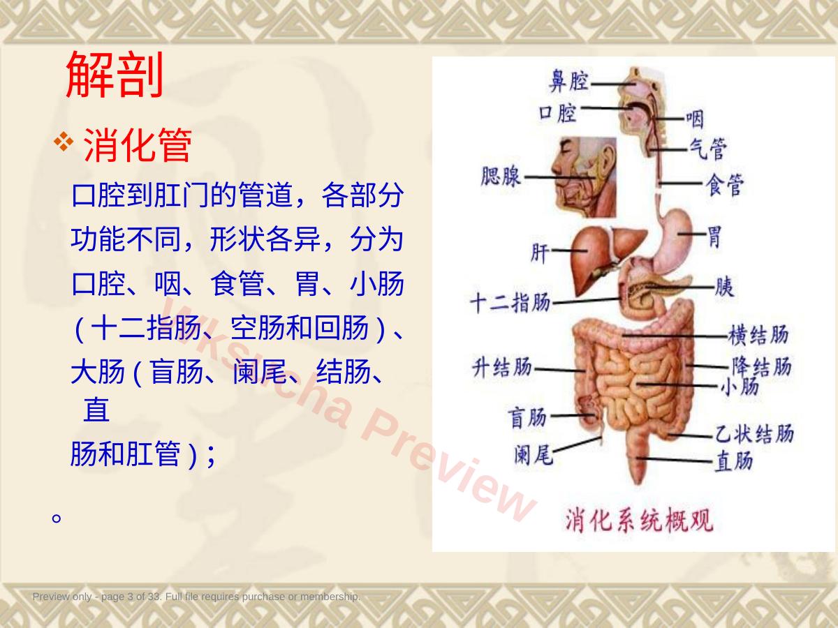 预览第 3 页