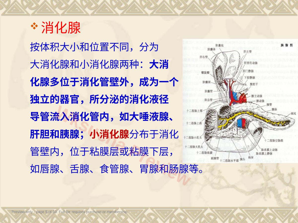 预览第 5 页