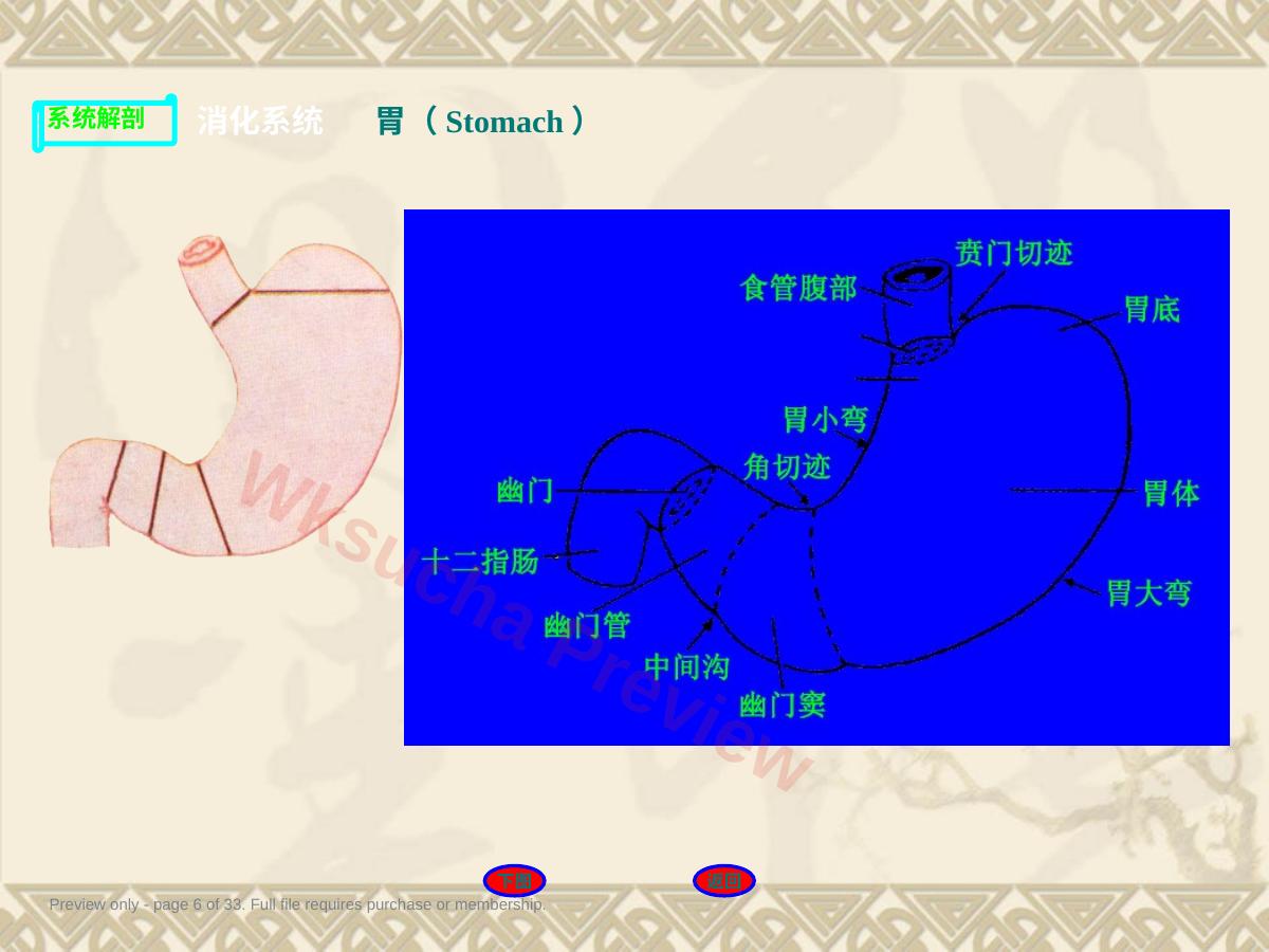 预览第 6 页
