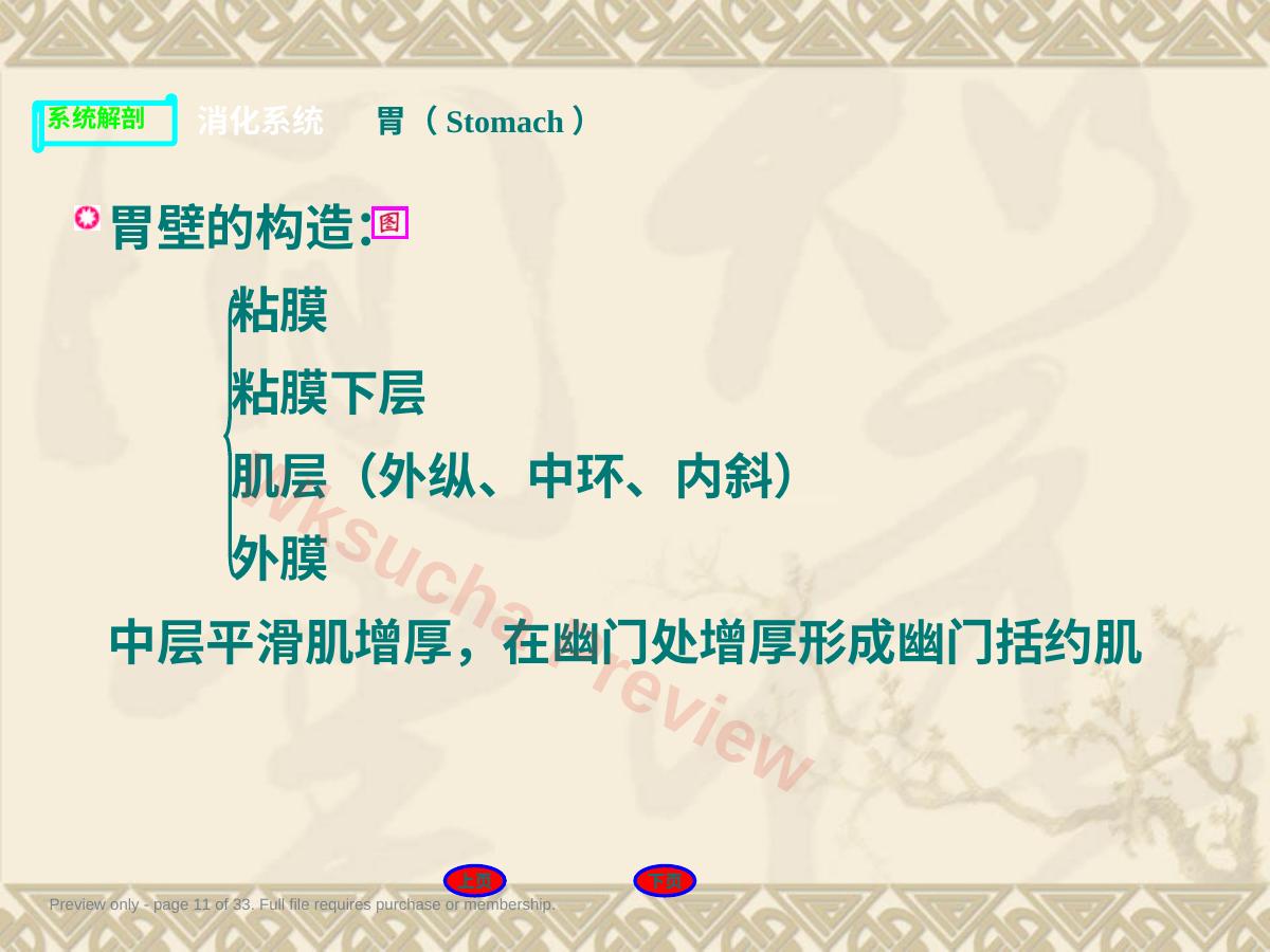 预览第 11 页