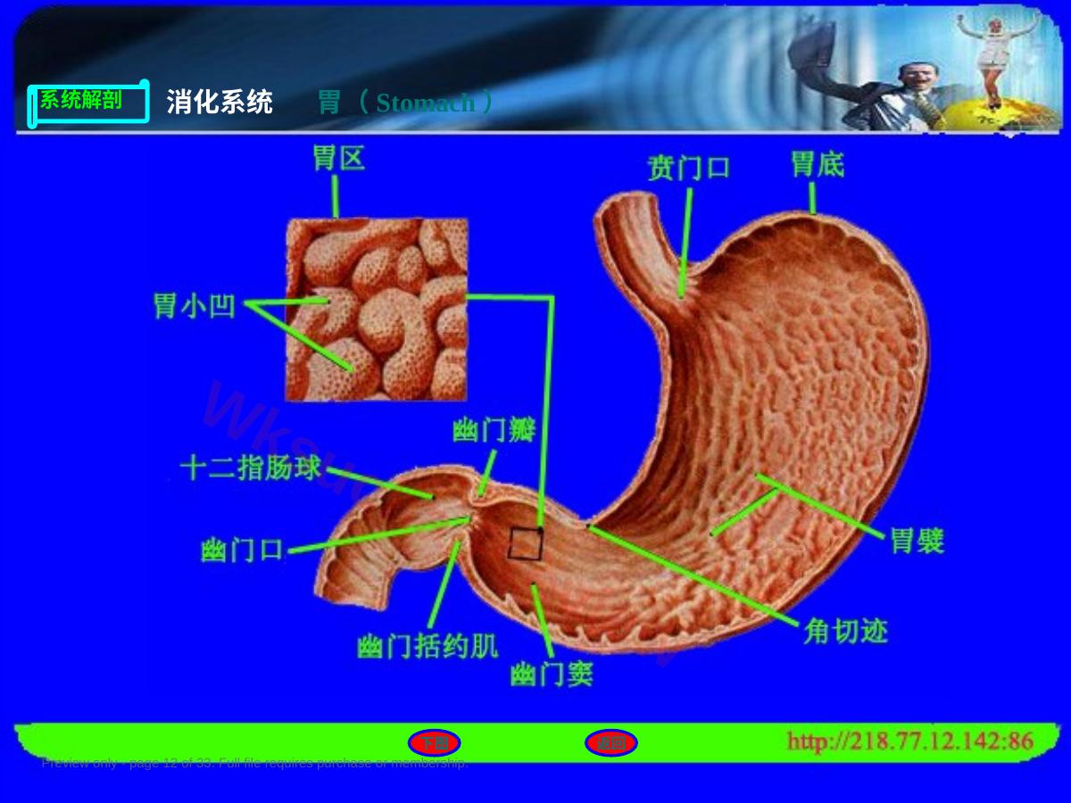 预览第 12 页