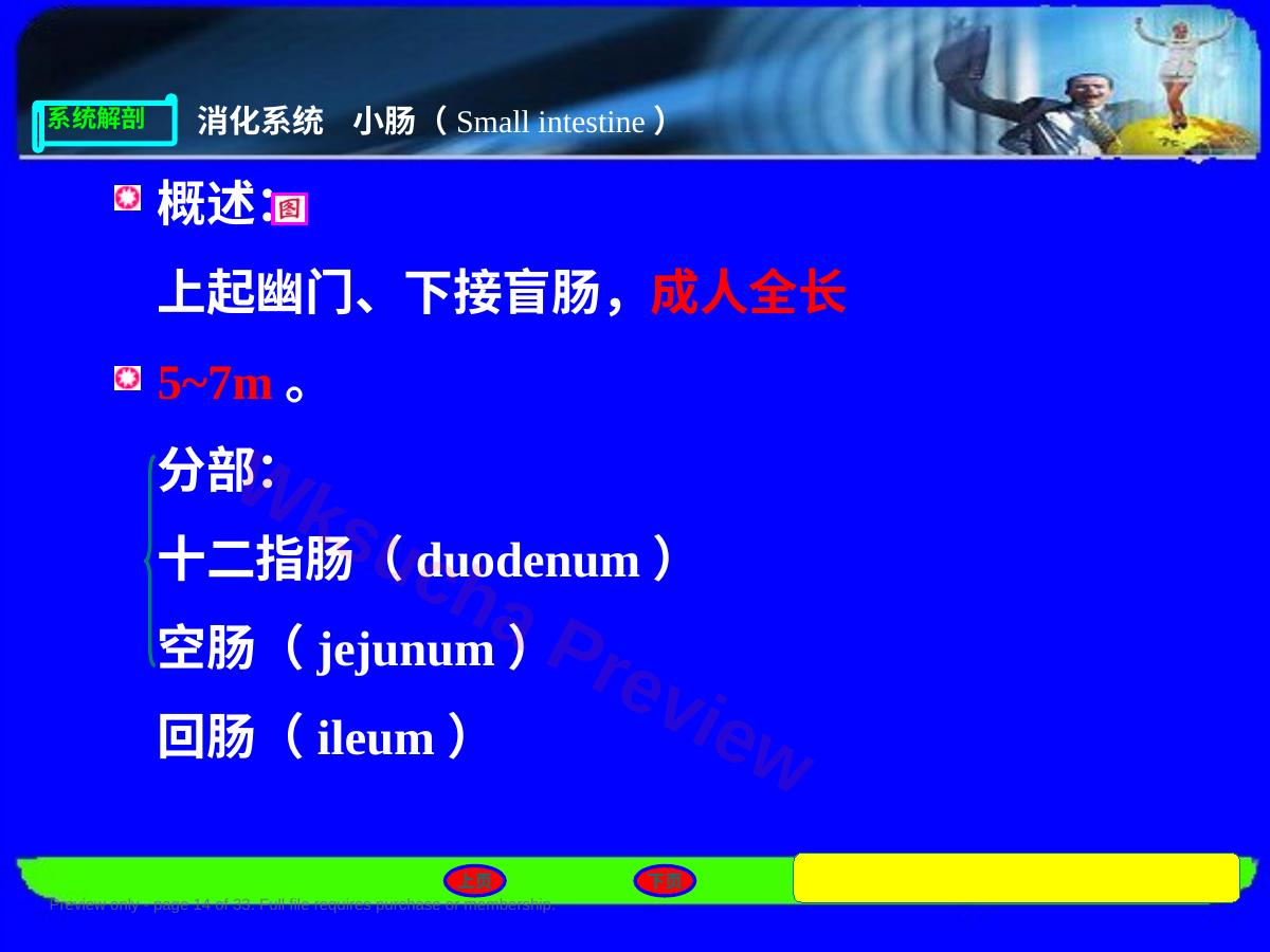预览第 14 页