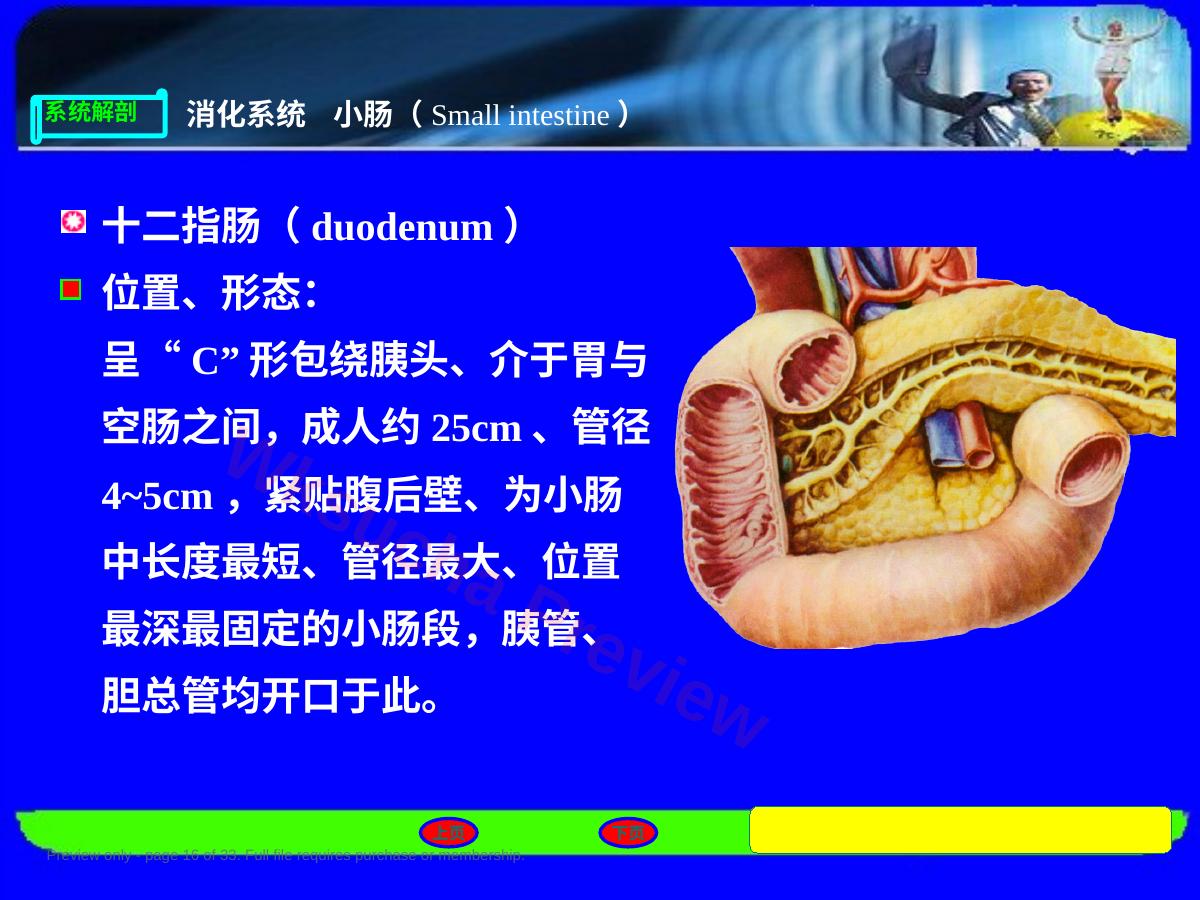 预览第 16 页