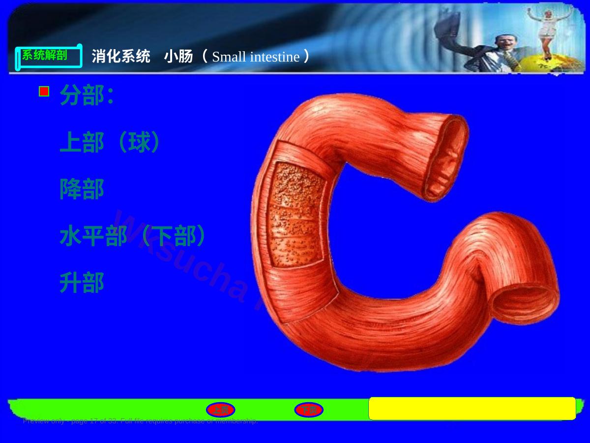 预览第 17 页