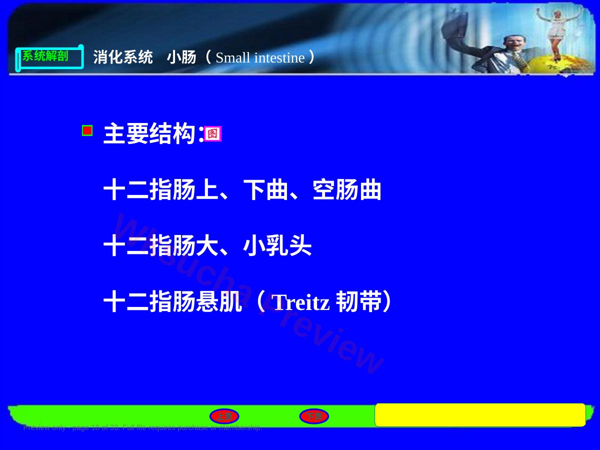 预览第 18 页