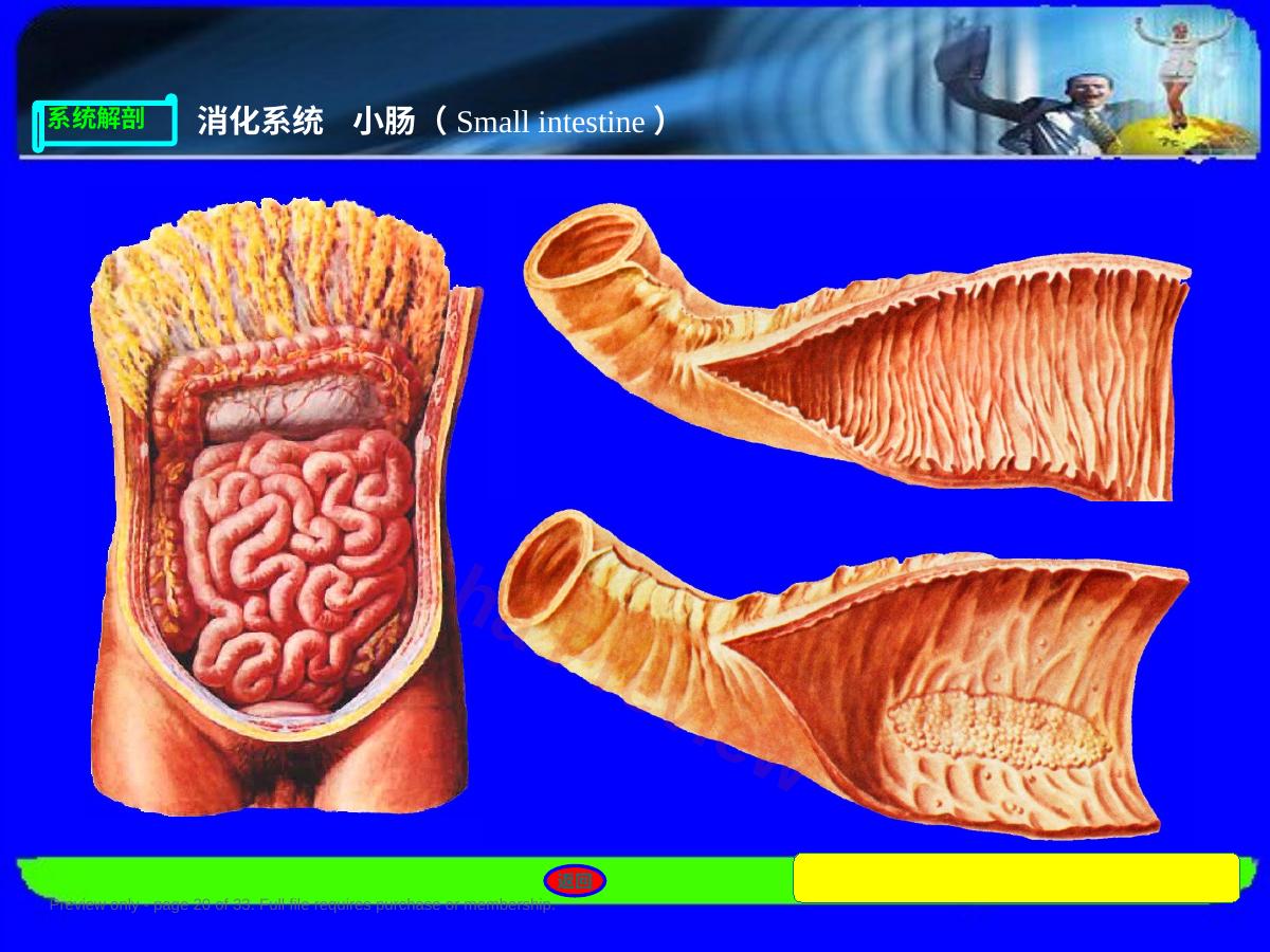 预览第 20 页