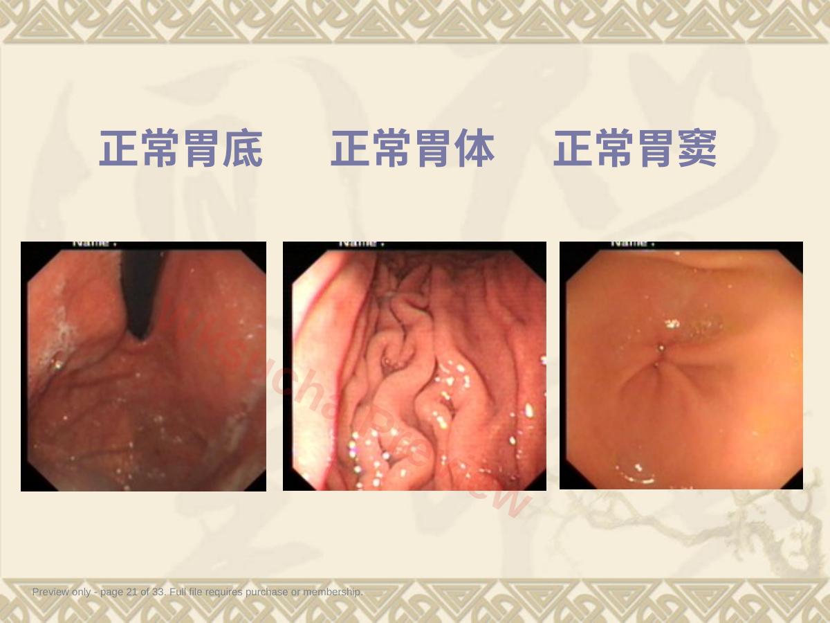 预览第 21 页