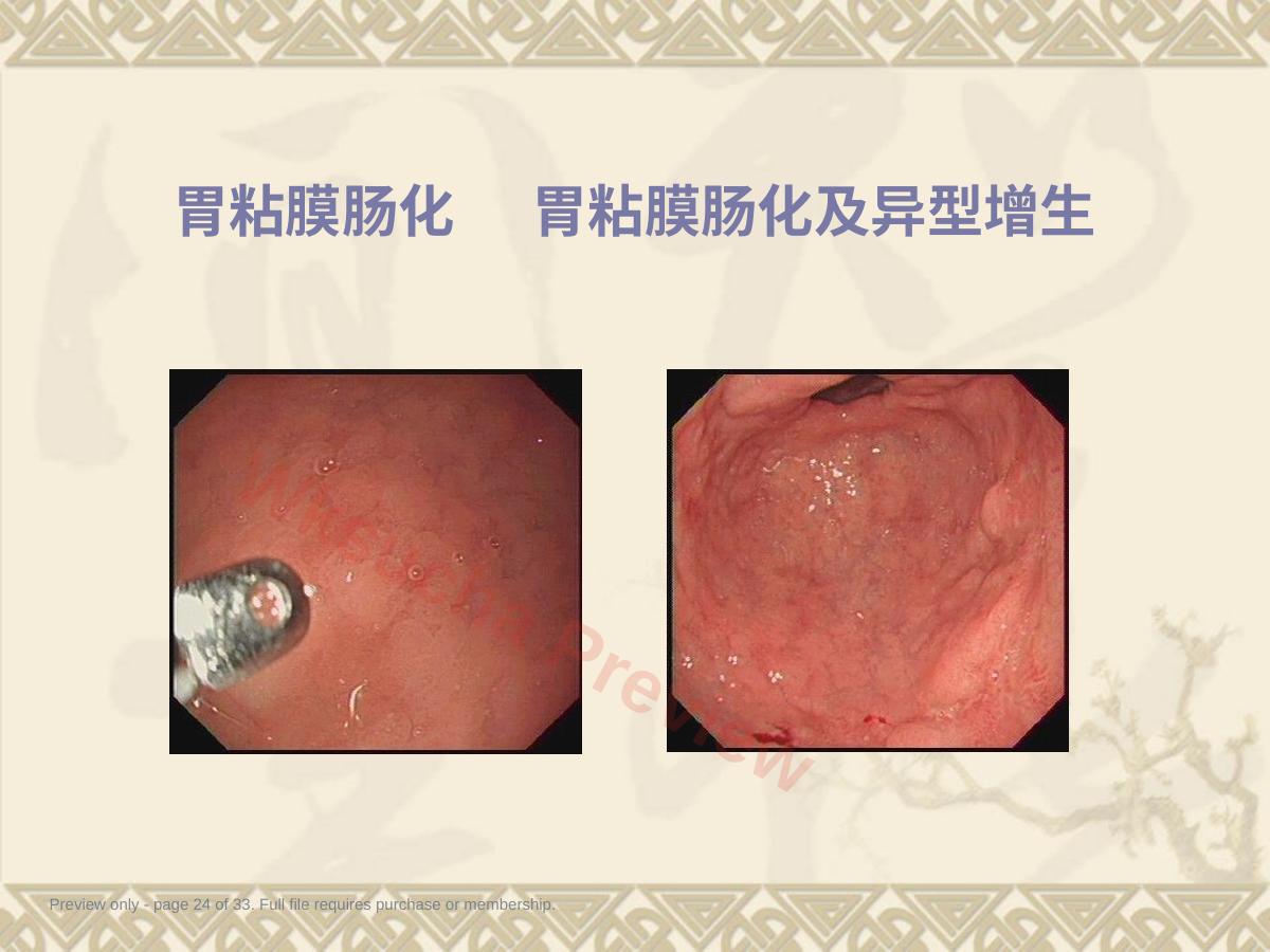 预览第 24 页