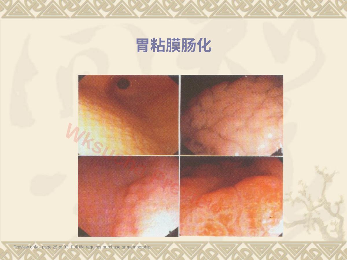 预览第 25 页