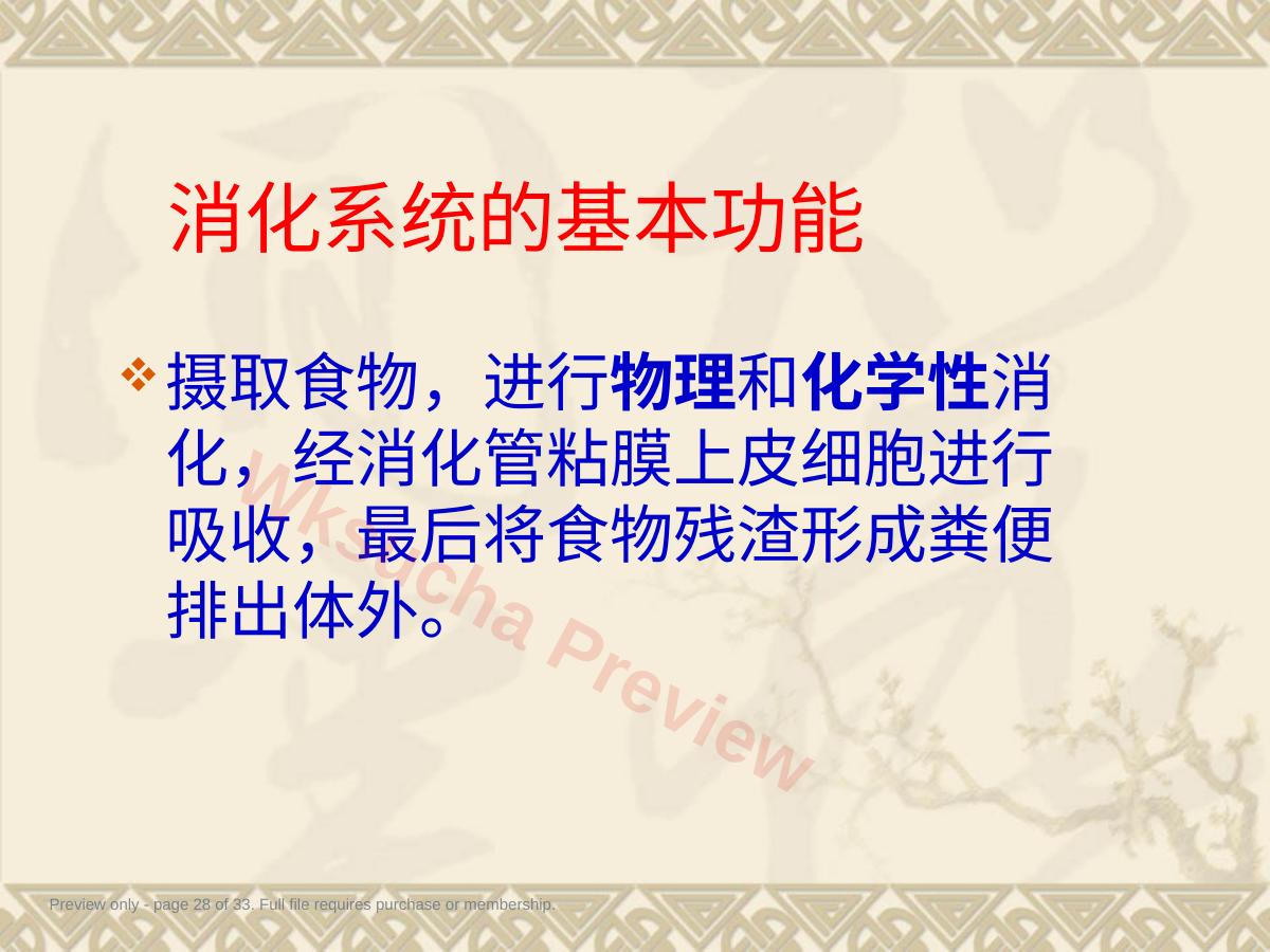 预览第 28 页