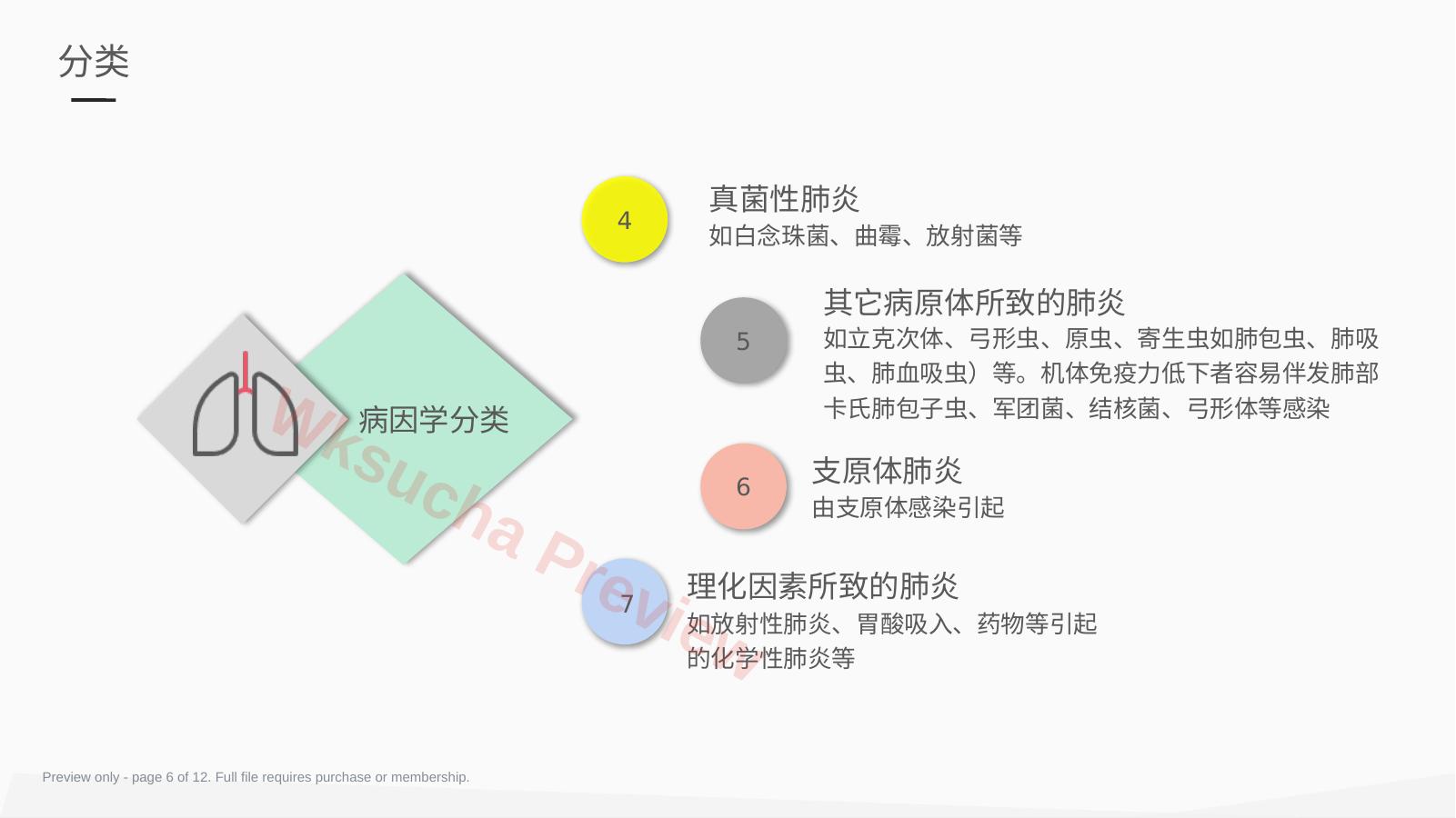 预览第 6 页