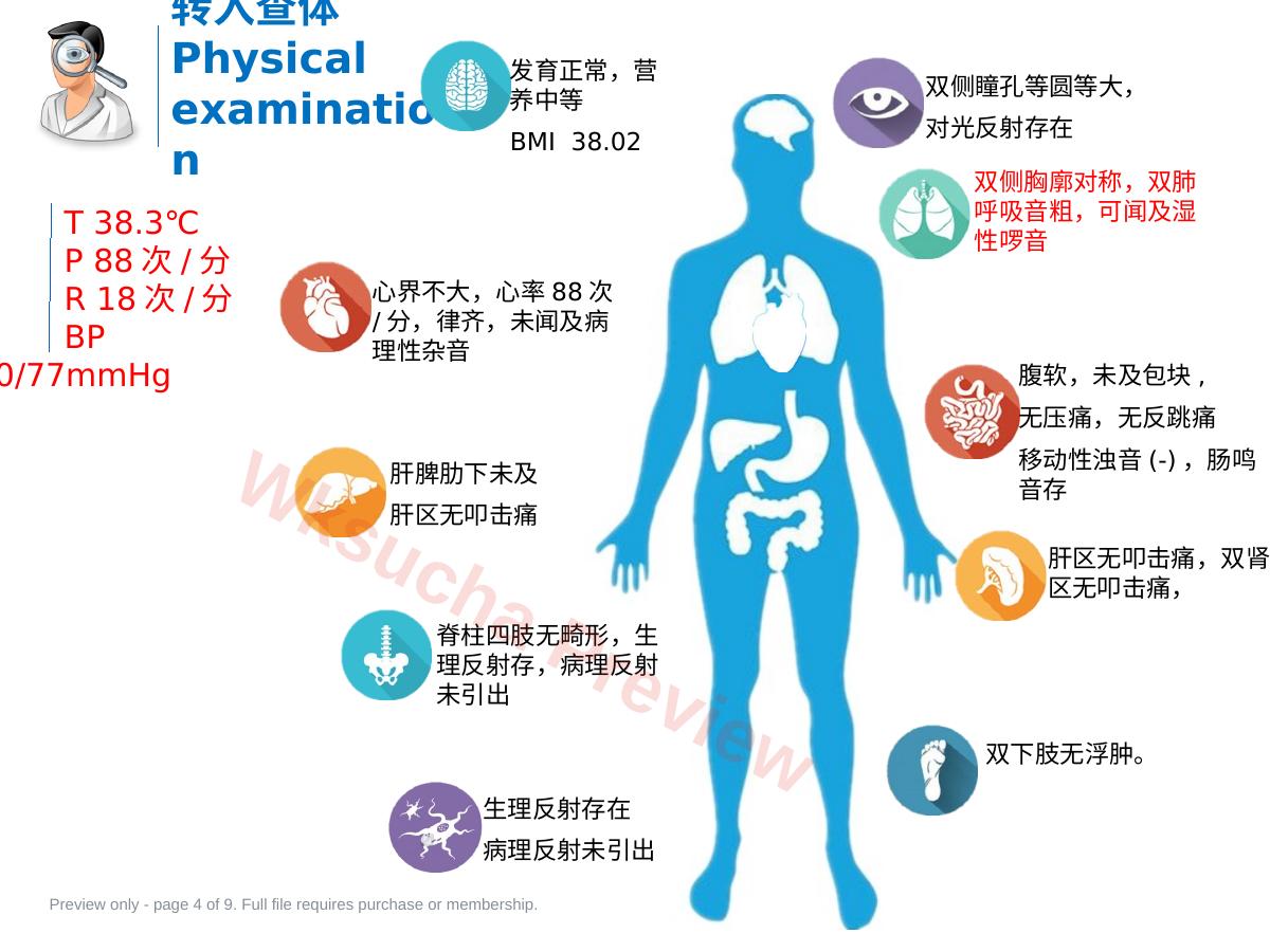 预览第 4 页