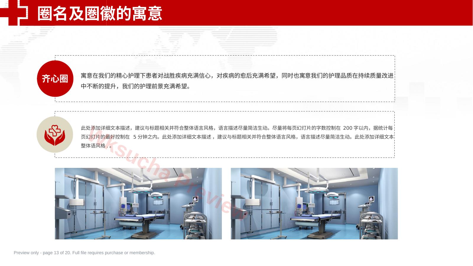 预览第 13 页